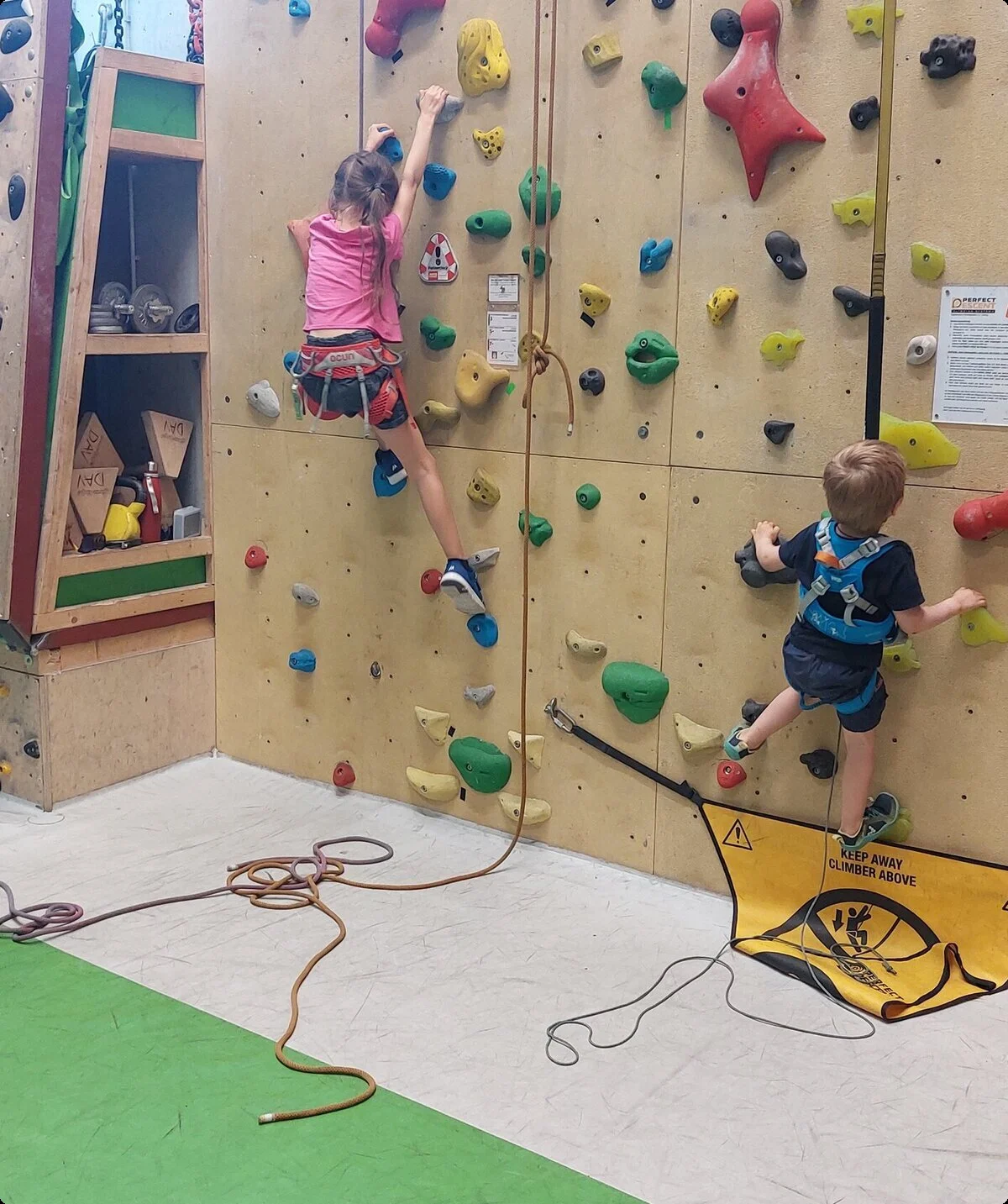 Kinder und Erwachsene der Climb&Coffee Gruppe klettern am Seil | © DAV/Freiburg-Breisgau/Josephine Kerzel/Climb&Coffee