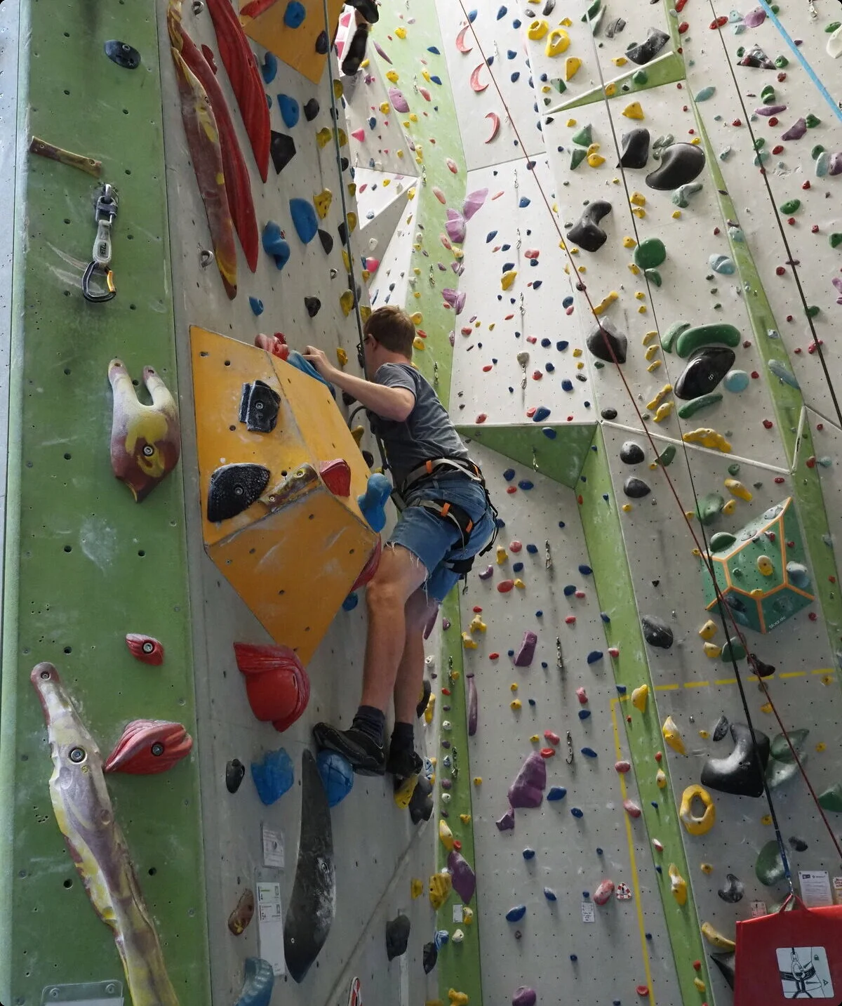 Eine Erwachsene hilft einem inklusiven Gruppenkind beim Einbinden | © DAV/Freiburg-Breisgau/Josephine Kerzel/Cliffhängers