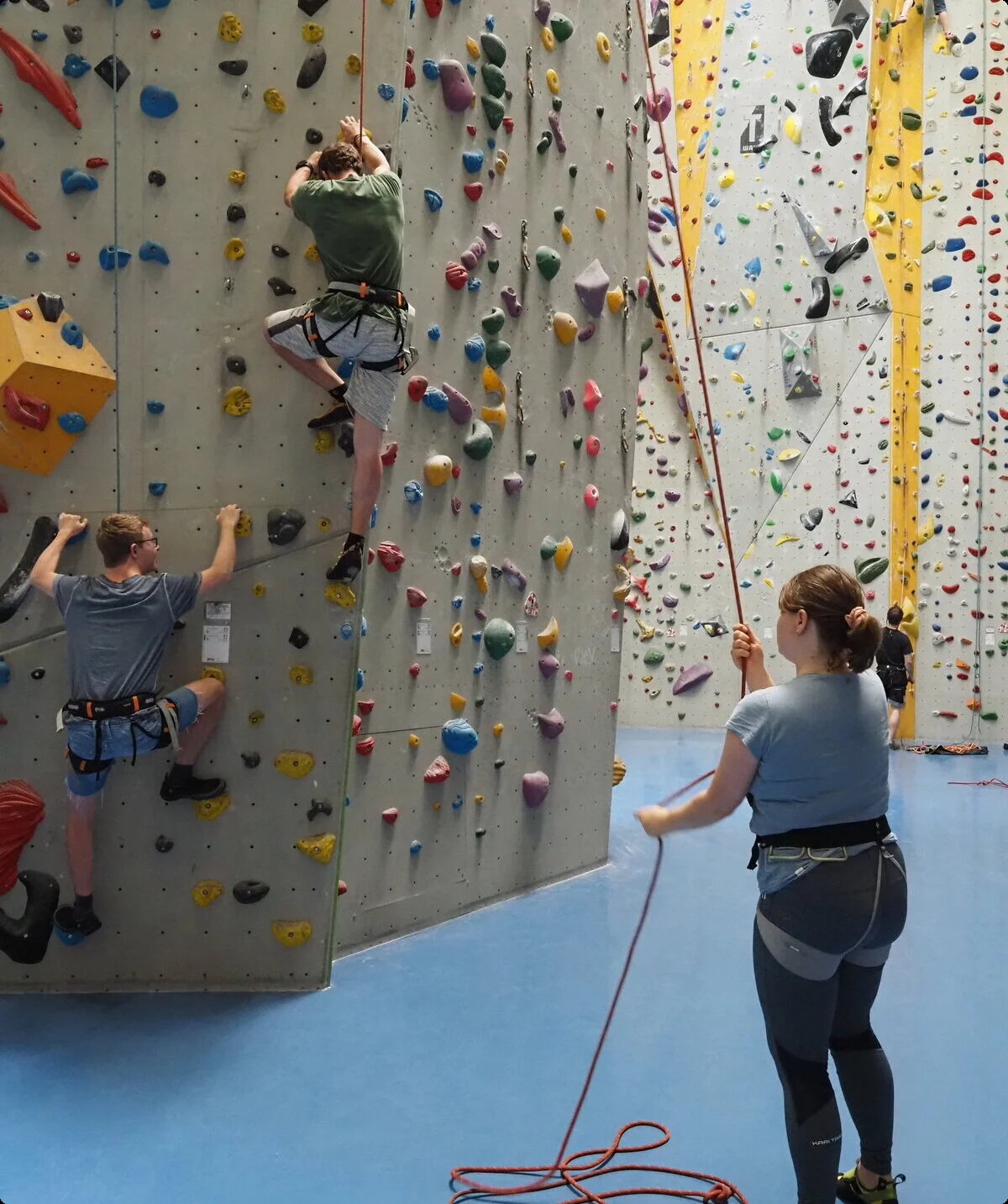 Teilnehmer*innen der Seilakrobaten klettern am Seil in der großen Halle | © DAV/Freiburg-Breisgau/Josephine Kerzel/Seilakrobaten