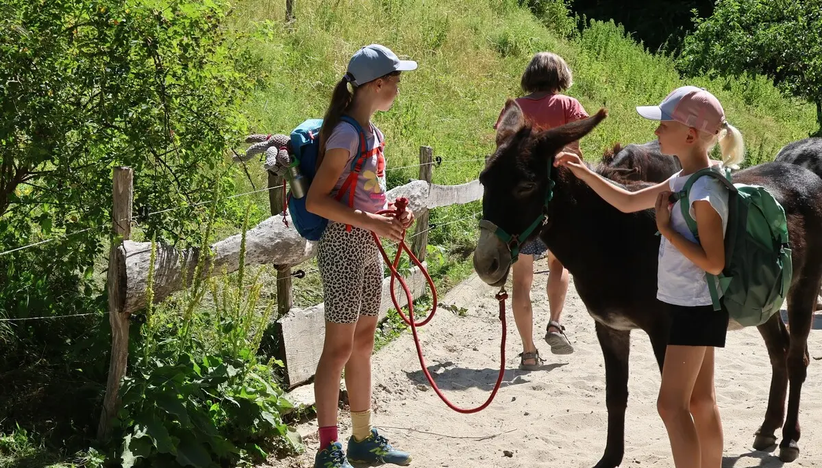 Zwei Teilnehmerinnen der Eselwanderung stehen auf der Koppel, in ihrer Mitte steht eine Eselin, die mit auf die Wanderung geht. Eines der Mädchen hat den roten Führstrick in der Hand, das andere Mädchen streichelt die Eselin am Kopf. Im Hintergrund läuft die Hofchefin. | © DAV Sektion Freiburg-Breisgau / Kristin Schwarz