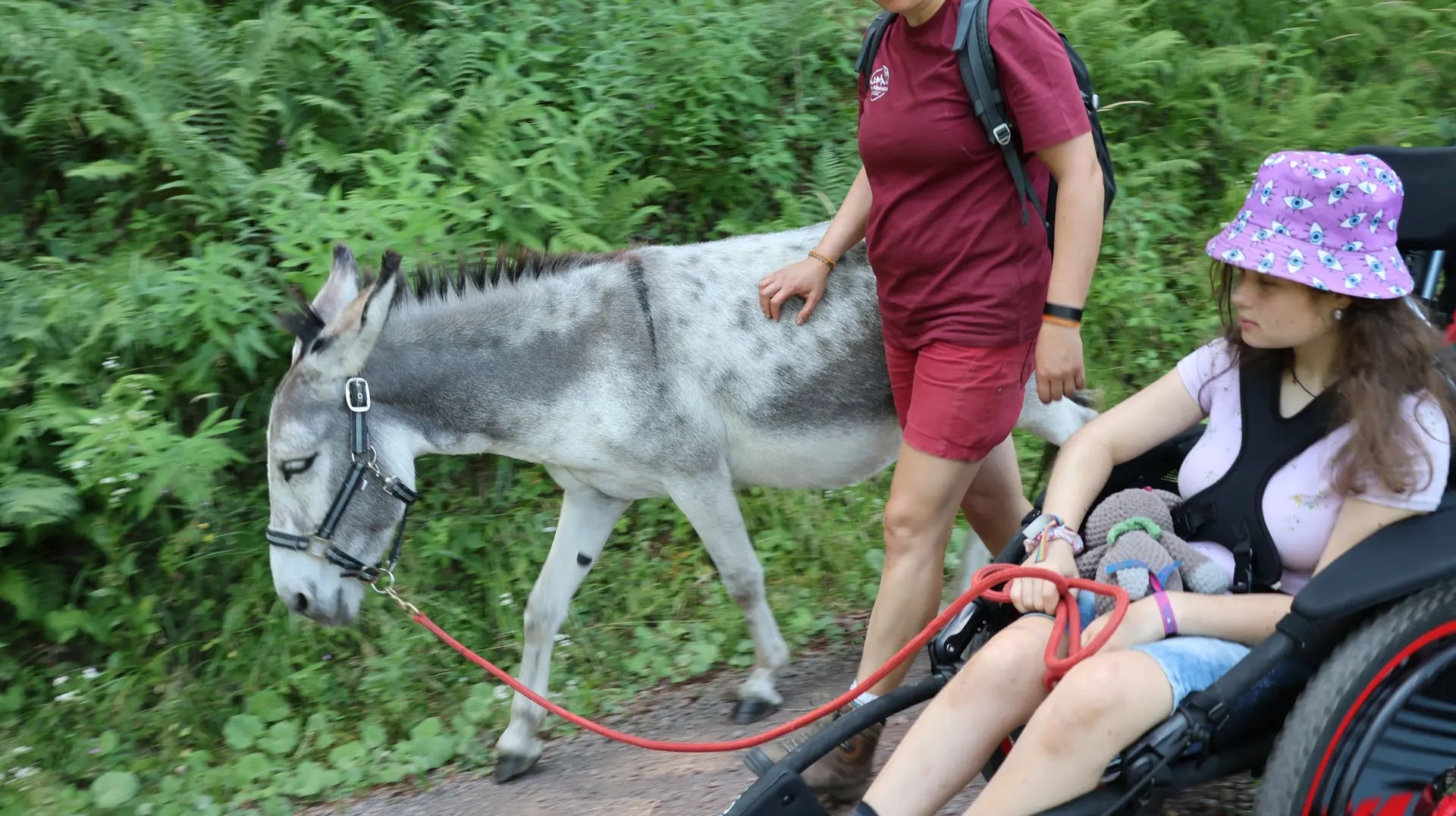 Ein Mädchen sitzt im Wanderrollstuhl und führt eine Eselin auf der Wanderung im Wald am Führstrick. Zwischen ihr und der Eselin läuft eine Betreuerin.  | © DAV Sektion Freiburg-Breisgau / Kristin Schwarz