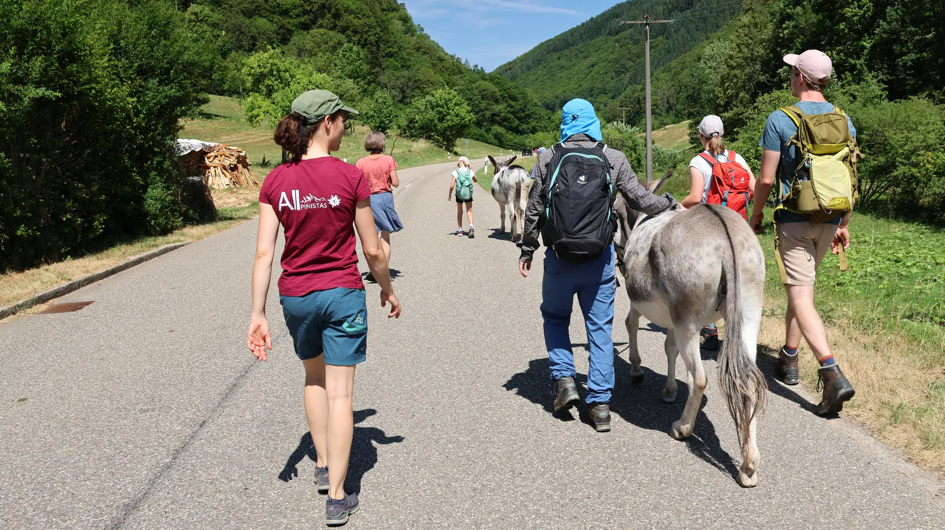 Die Teilnehmenden der inklusiven Eselwanderung laufen an einer Straße entlang. Die abgebildeten Personen und Eselinnen sind von hinten zu sehen. Sie tragen Wanderkleidung, eine Person trägt ein brombeerfarbenes T-Shirt mit Allpinistas-Schriftzug. | © DAV Sektion Freiburg-Breisgau / Kristin Schwarz