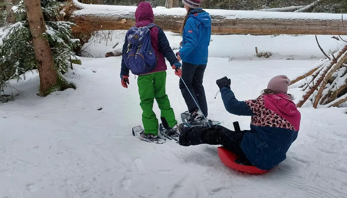 Zwei Jugendliche mit Schneeschuhen ziehen ein anderes Kind auf einem roten Schlitten durch den Schnee. | © DAV/Freiburg-Breisgau