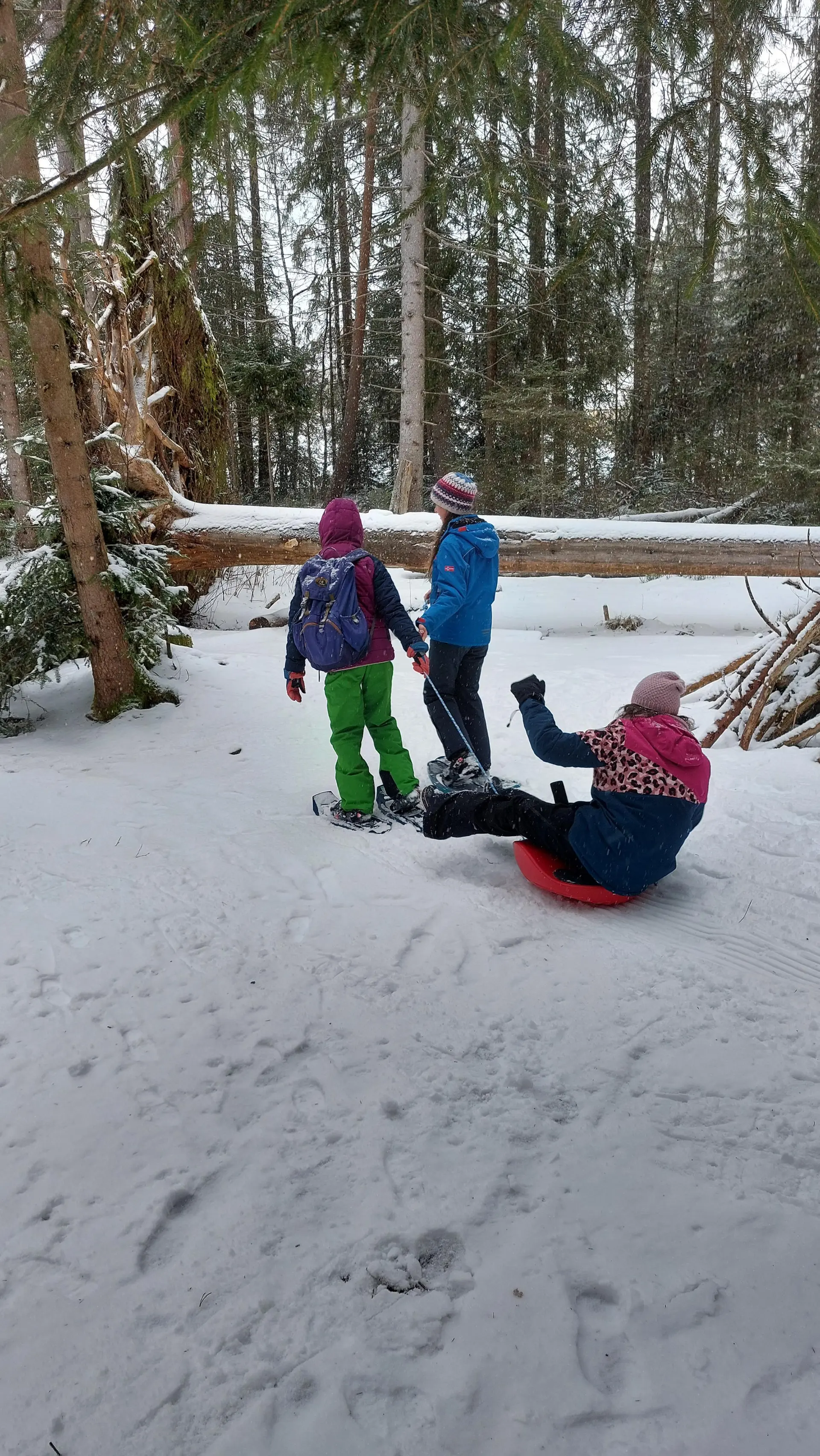 Zwei Jugendliche mit Schneeschuhen ziehen ein anderes Kind auf einem roten Schlitten durch den Schnee. | © DAV/Freiburg-Breisgau